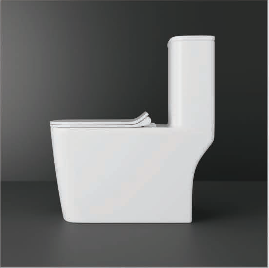 GX-ESSCO S/P (Washdown) - Image 3